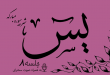 شرح سوره مبارکه یس(آیات 11تا12)جلسه 8